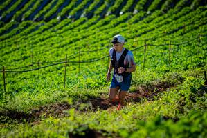 BIB: 
                            <button type="button" onclick="openModal(19160535)" class="btn btn-primary btn-sm float-right btn-popup" data-toggle="modal" data-target=".modal-high-quality">
                        <i class="fas fa-shopping-cart"></i> Add to Cart
                    </button>
                                            <button type="button" onclick="isThisMe(19160535, true)" class="btn btn-success btn-sm float-right btn-popup btn-isme hidden" data-toggle="tooltip" data-placement="bottom" title="นี่คือรูปของคุณใช่ไหม คลิกที่นี่เพื่อเอาเข้าอัลบั้ม">
                        <i class="fas fa-plus"></i> Add to album
                    </button>
                    <button type="button" onclick="isThisMe(19160535, false)" class="btn btn-warning btn-sm float-right btn-popup btn-isnotme hidden">
                        <i class="fas fa-ban"></i> Remove from album
                    </button>